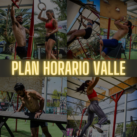 Plan Horario Valle